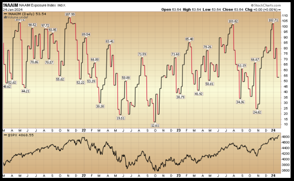 NAAIM Exposure Index