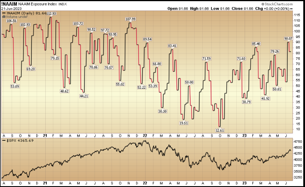 NAAIM Exposure Index