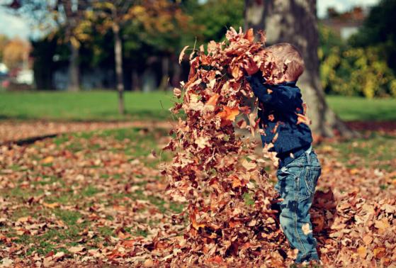 5 Frugal Fall Activities