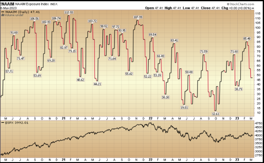 !NAAIM NAAIM Exposure Index INDX