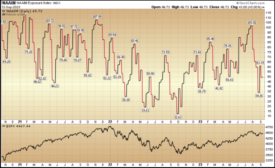 NAAIM Exposure Index