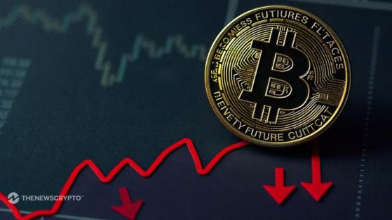 Will Bitcoin Price Fluctuations Settle Soon?