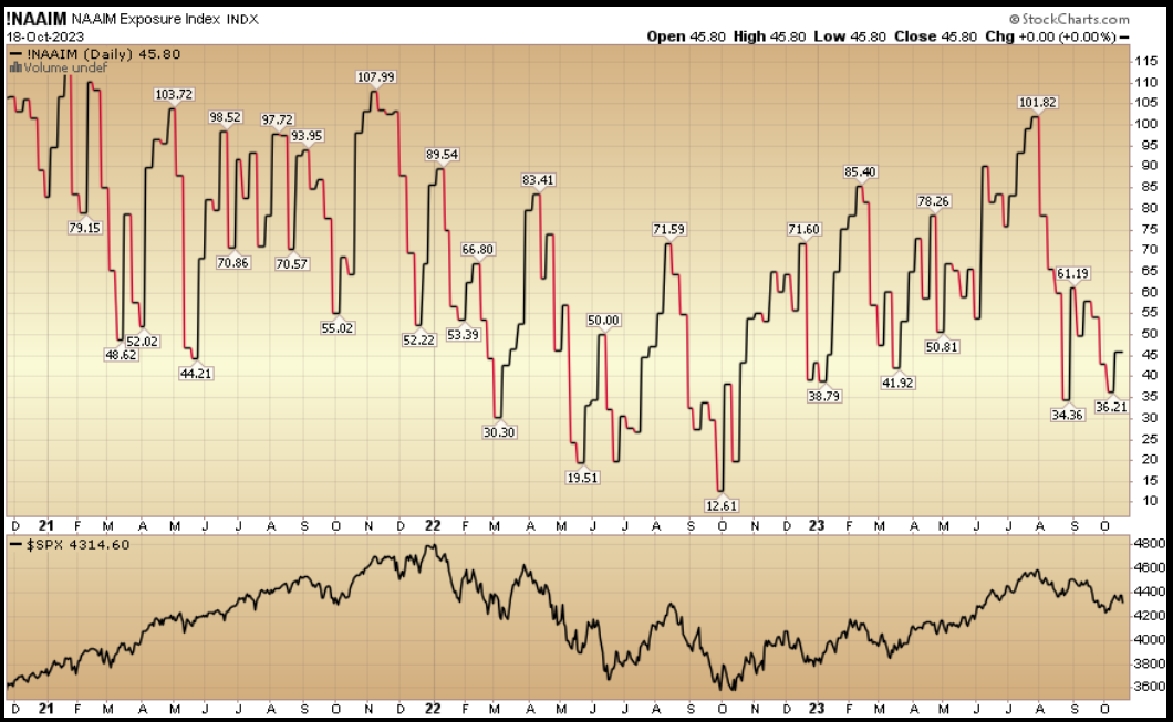 NAAIM Exposure Index