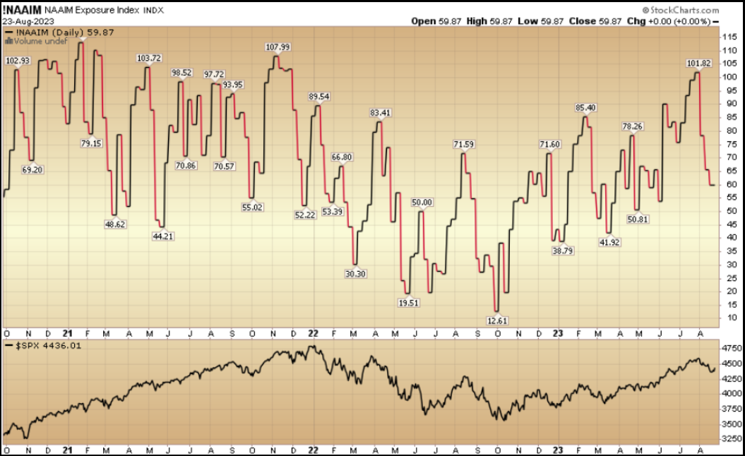 NAAIM Exposure Index