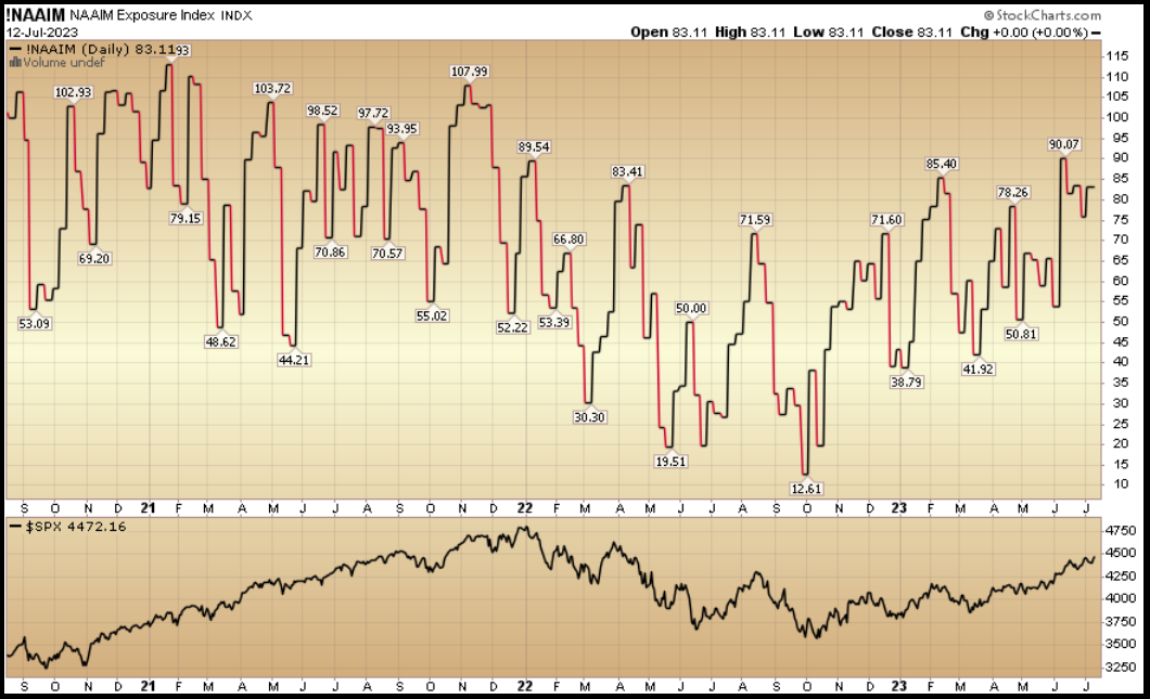 NAAIM Exposure Index