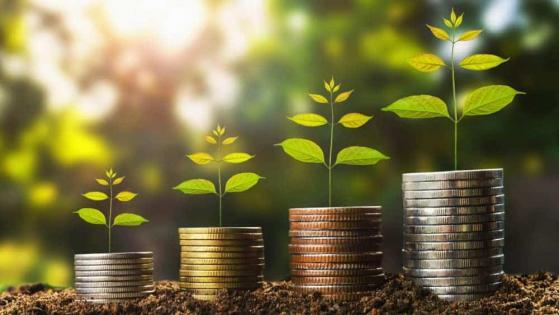 Attain Your Growth and Income Needs: 2 Great Stocks