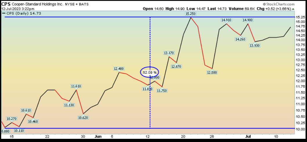 Cooper-Standard Holdings