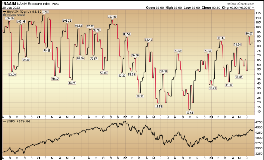 NAAIM Exposure Index