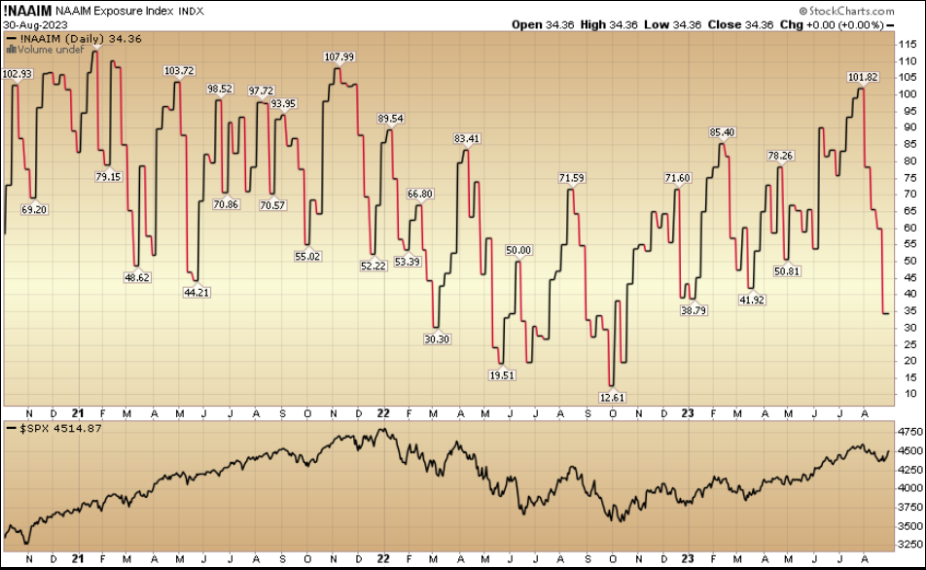 NAAIM Exposure Index