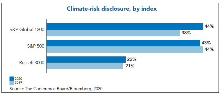 Climate Risk Disclosure by Index