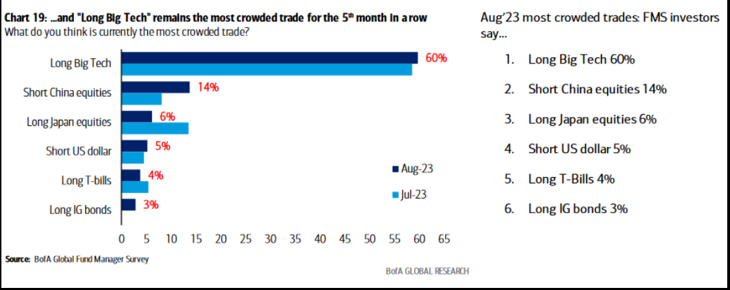 ...and Long Big Tech remains the most crowded trade for the 5th mo