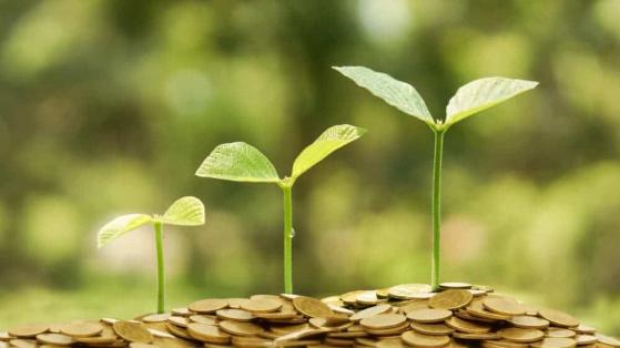 The 2 Best Dividend-Growth Stocks for TFSA Investors