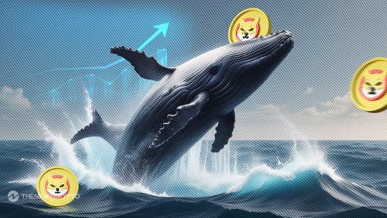 Shiba Inu Whales Accumulate Trillions of SHIB Tokens, Price to Rally?
