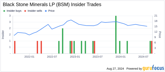 Insider Sale: SVP, Chief Commercial Officer Carrie Clark Sells Shares of Black Stone Minerals ...