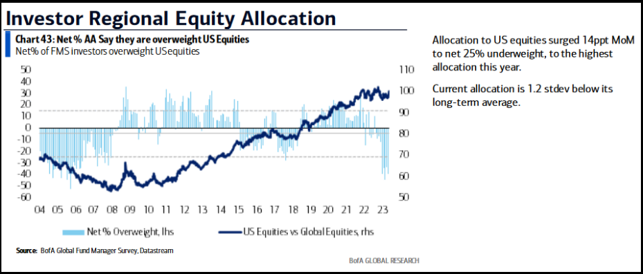 Investor Regional Equity Allocation