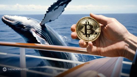 Bitcoin Whales Accumulate $1.38B Worth BTC Capitalizing on Price Dip