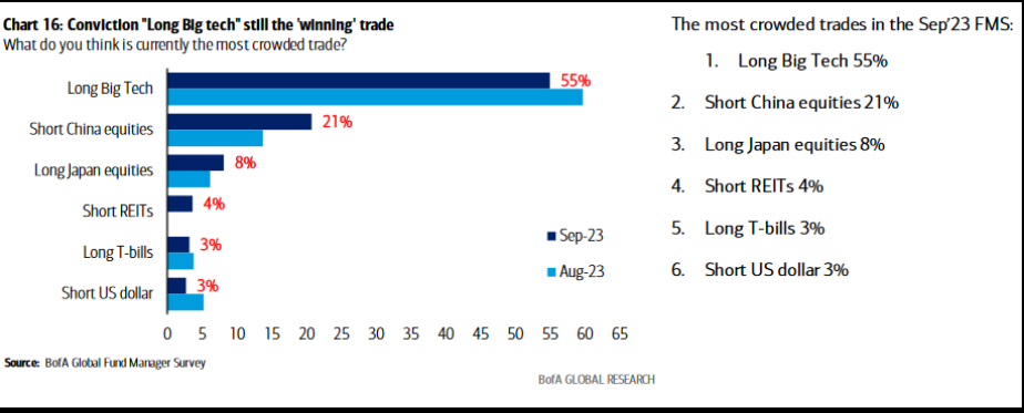 Conviction 'Long Big tech' still the 'winning' trade