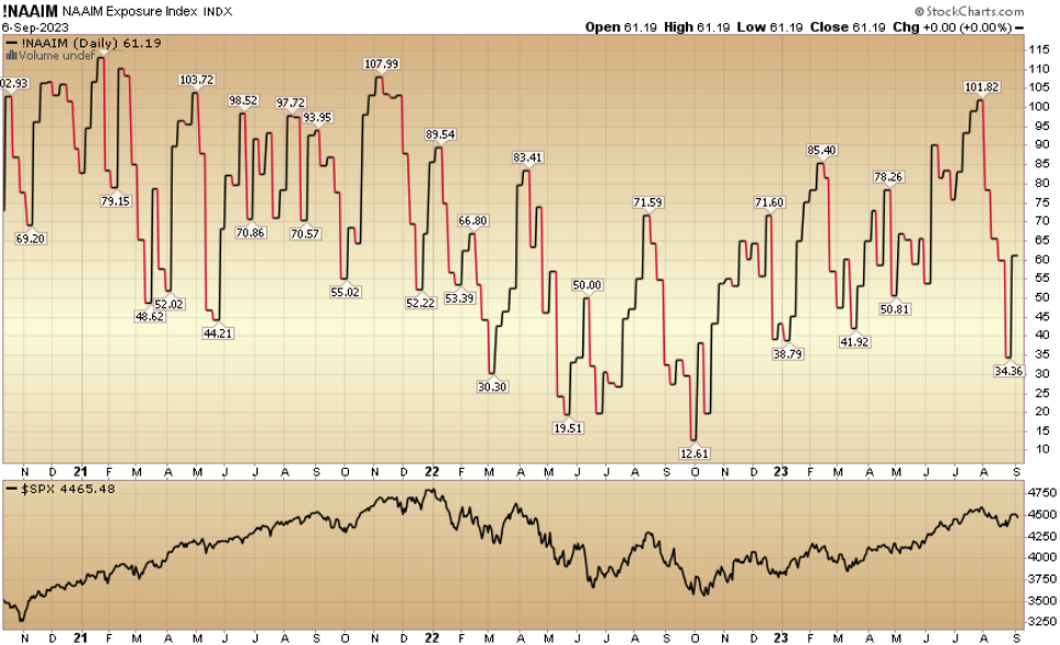 NAAIM Exposure Index