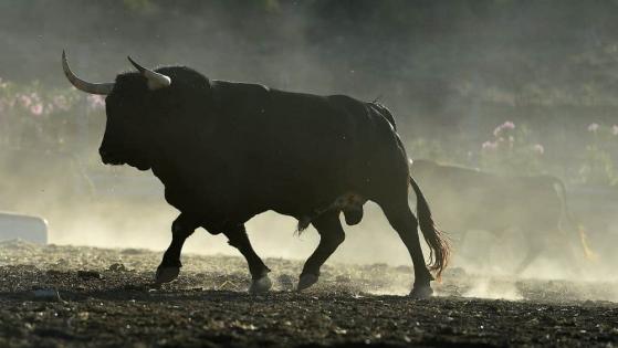 Can the Bull Market in Oil Continue Running?