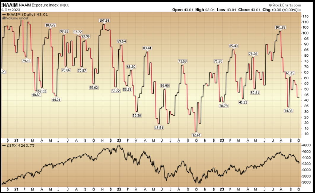 NAAIM Exposure Index